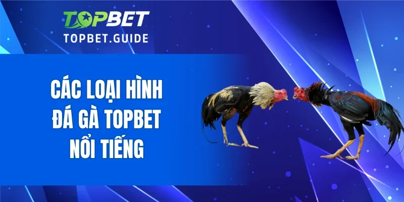 Các loại hình đá gà TOPBET nổi tiếng