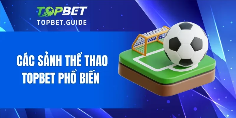 Các sảnh thể thao TOPBET phổ biến