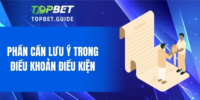 Những phần cần lưu ý trong điều khoản điều kiện
