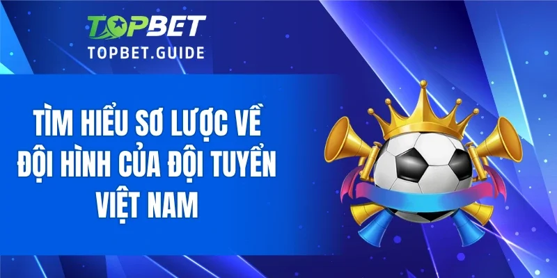 Tìm hiểu sơ lược về đội hình của đội tuyển Việt Nam