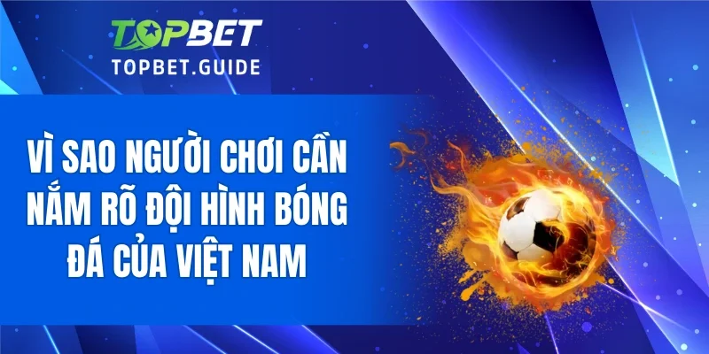 Vì sao người chơi cần nắm rõ đội hình bóng đá của Việt Nam